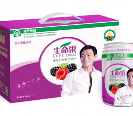 樹(shù)莓果汁——30%易拉罐